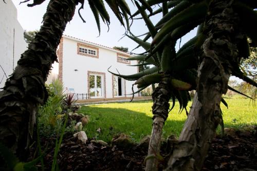 Pombal Haus | Refúgio das Tílias
