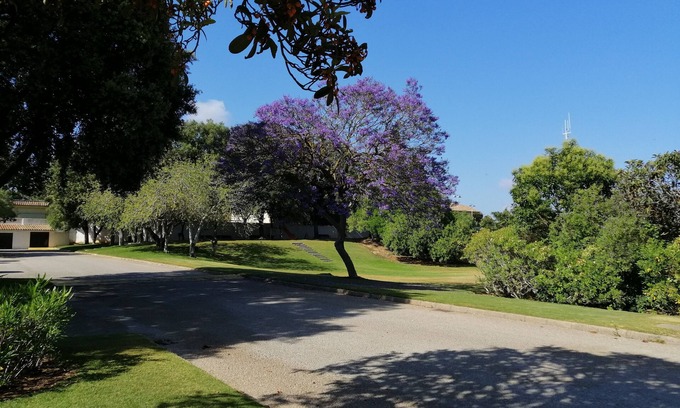 Sotogrande Eigentumswohnung | REFORMED AND VERY WELL FURNISHED HOUSES, BORDERING THE VALDERRAMA GOLF CLUB