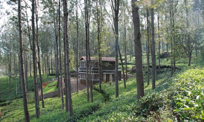 Masinagudi Haus | Relaxing 2 B/R Estate House, Deenaty, Tamil Nadu