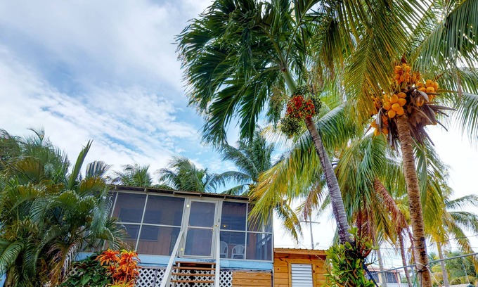 Placencia Kabine | Luftig renovierte Cabana mit einfachem Zugang zum Strand und großartiger Lage mitten in der Stadt!