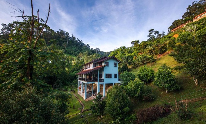 Janda Baik Villa | Rest Pause Rainforest Retreat