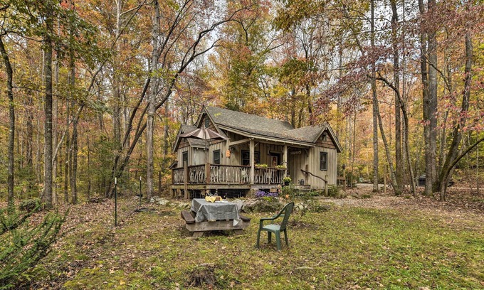 Cleveland Kabine | NEU! Gemütliche Creekside Cabin am Table Rock State Park