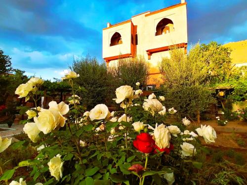 Ibrrahne Haus | Riad Tazawa