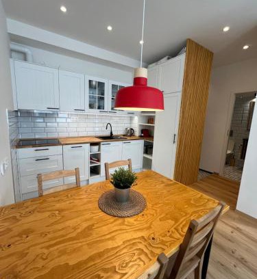 Borovany Wohnung | Rodinný Apartmán U Pralesa