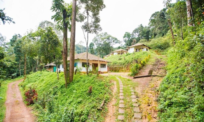 Madikeri Haus | Room in Lodge - The Nest Bettathur, Coorg Ct 003