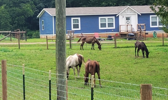 Attalla Sonstige | Roomy 3-bedroom horse ranchette with hiking/biking trails. Noccalula & Gadsden