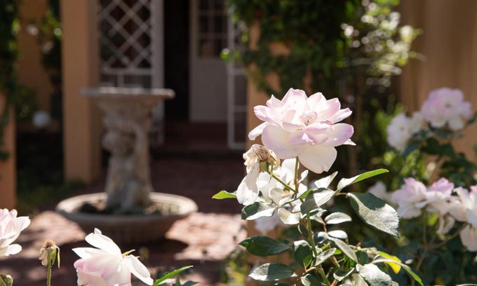 Klerksdorp Bed & Breakfast | Roses and Pebbles B & B Guest House