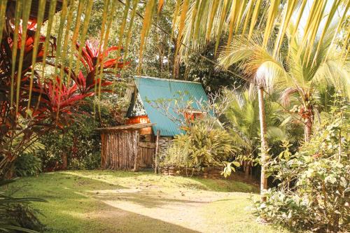 Pavones Wohnung | Rustic Cabin in Pavones surf brake