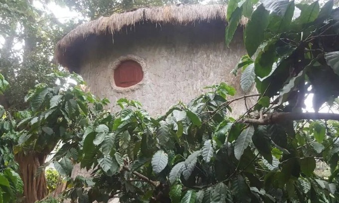 Kaimane Haus | Rustic Charm Wayanad - The Roots (Treetop Suite)