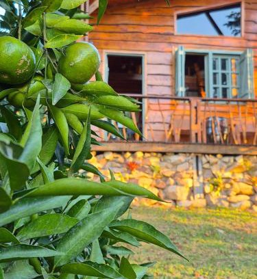 Sao Lourenco do Sul Haus | Sítio Espinilho