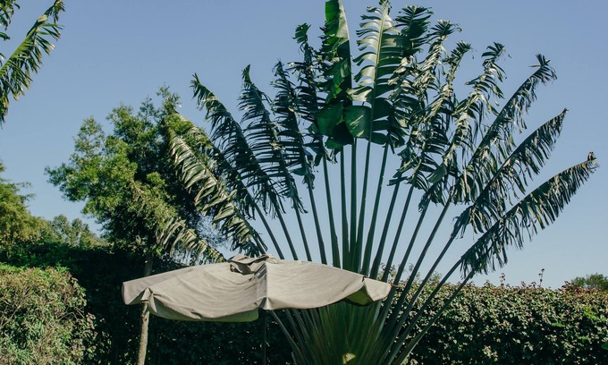 Bomet Hotel | Sahara Gardens Bomet