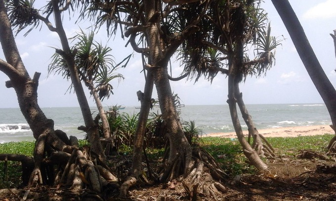 Gujjadi Bed & Breakfast | "SAI DHAM" Beach House Bungalow zu vermieten in Gujjadi