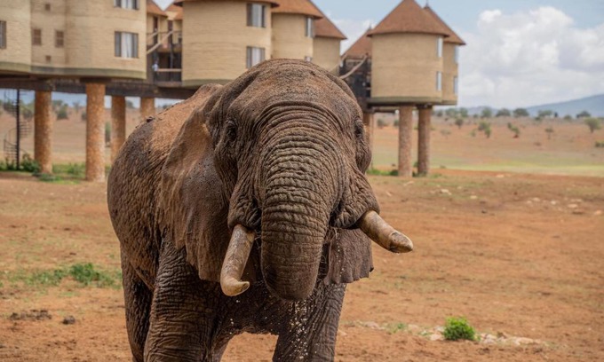 Murka Kabine | Salt Lick Safari Lodge