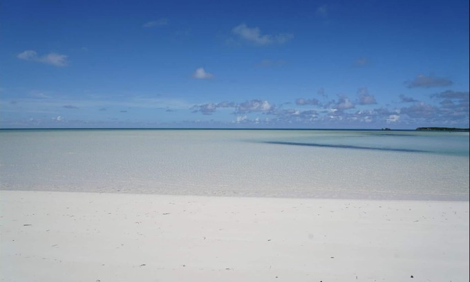 Spanish Wells Wohnung | Salt Life - 1 Bett, 1 Bad mit Golfwagen. 1 Minute zum Strand