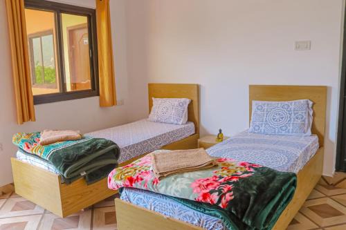 Rishikesh Haus | Satya Yoga Ashram Rishikesh