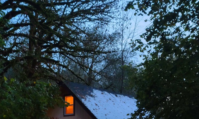 Alsea Kabine | Scenic cabin with a creek view
