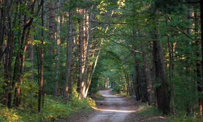 Muskegon Kabine | Scenic Drive Resort - Cabin #6
