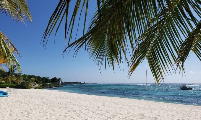 Savannah Eigentumswohnung | Abgelegene Beachfront Condo Grand Cayman Karibik blaues Wasser !!