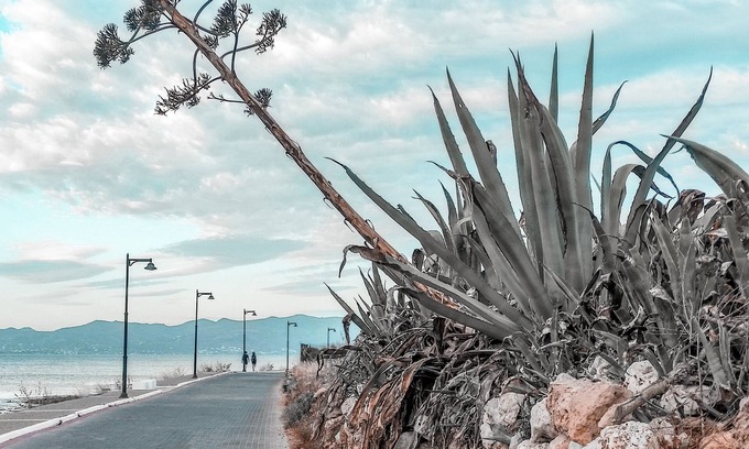 Milos Wohnung | Seaside private room with seaview - only 1 min walk from the beach!