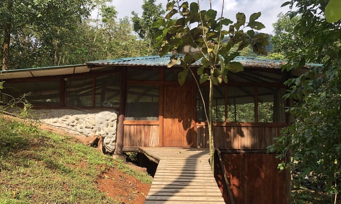 Surubres Haus | Secluded Treehouse in the the Rainforest