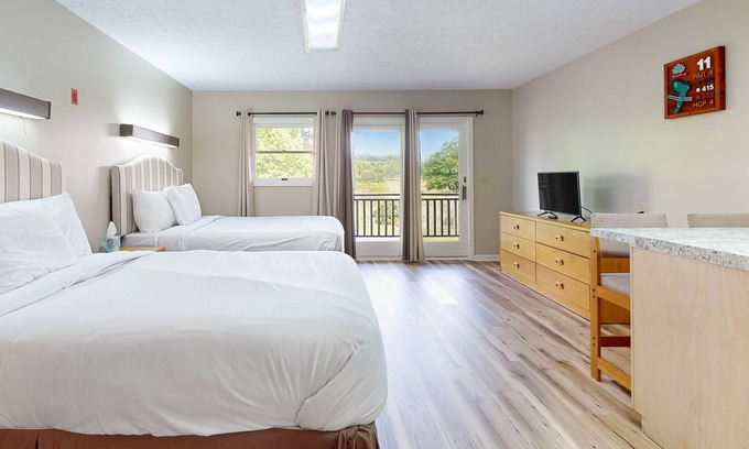 Baneberry Wohnung | Second-floor, dog-friendly studio with quiet views & gym - walk to Douglas Lake