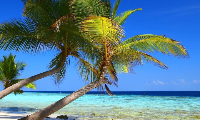 Mission Beach Haus | Geheime Mission - Mission Beach