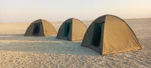 Nata Sonstige | Sedudu Tours & Safaris