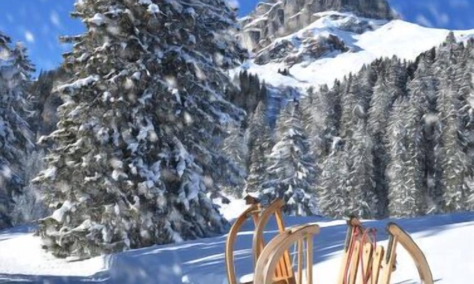 Davos-Dorf Wohnung | Seewiese Apt. OG by Interhome
