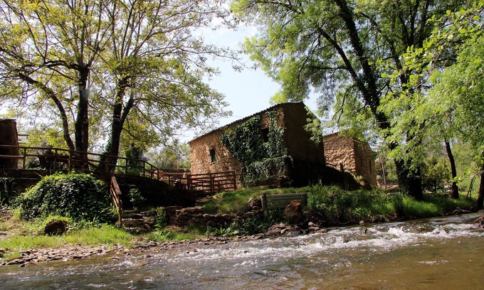 Miranda do Corvo Sonstige | Sete Quintas / Olivenölmuseum
