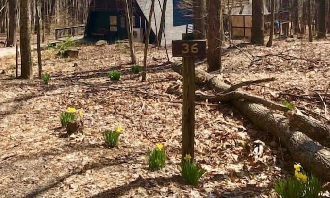 Berkeley Springs Kabine | Come stay and play at our cozy Coolfont Mountainside A-frame cabin