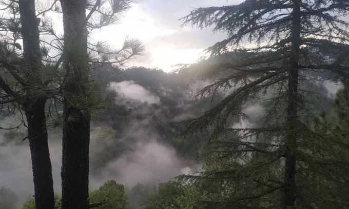 New Shimla Hütte | Shantivan...The hidden heaven