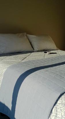 Acuario Haus | SHINYADO Cabo San Lucas