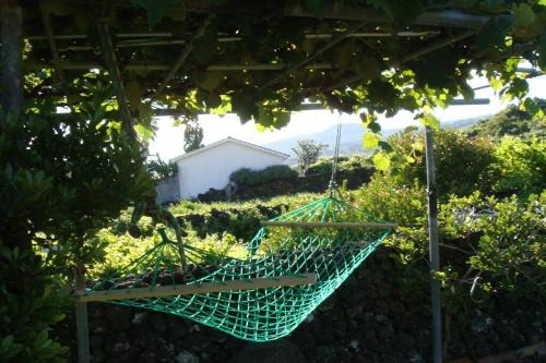 Lajes do Pico Haus | Silveira's Home