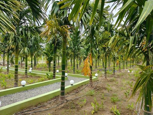 Coimbatore Haus | Siruvani Farm Stay Near Isha Yoga Adiyogi