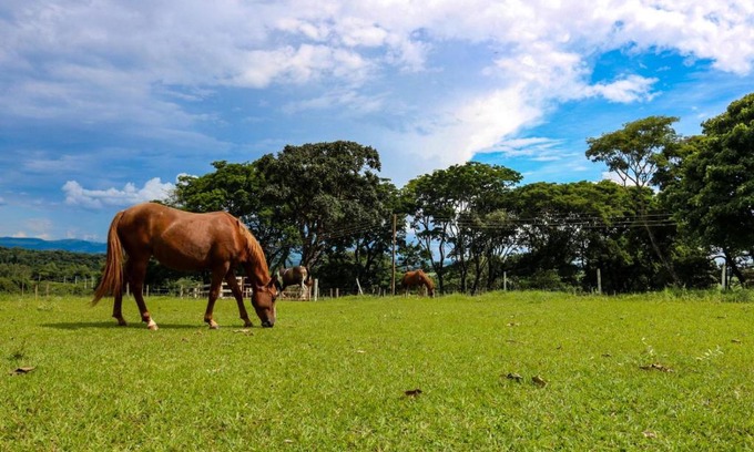 Altinopolis Haus | Sitio SMC - 15 min do centro de Altinópolis
