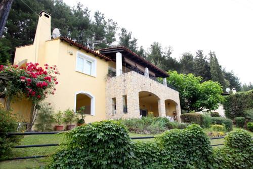 Zigos Haus | Six Steps From The Forest