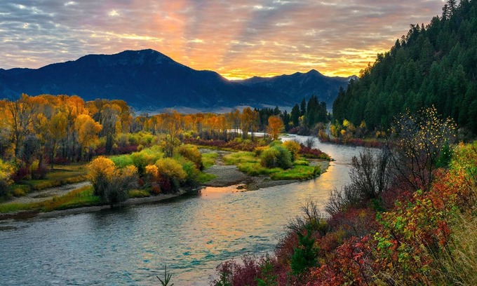 Swan Valley Hotel | Snake River Roadhouse #4 Big Brown