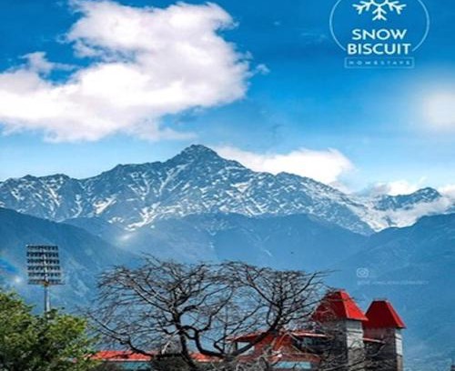 Sidhpur Wohnung | Snow Biscuit Villa