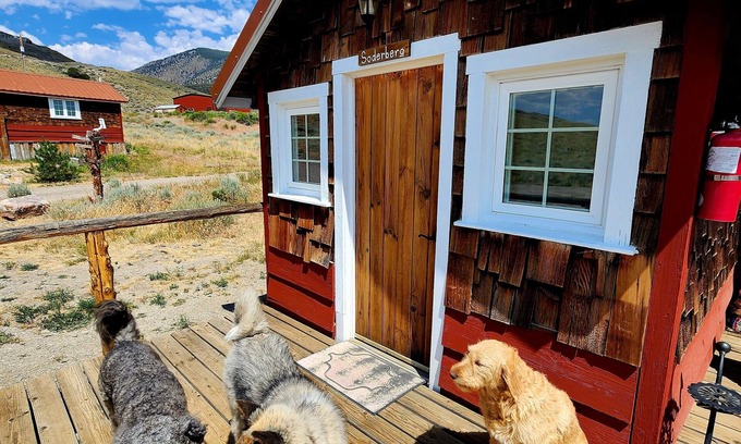 Cody Kabine | Soderberg gemütliche rustikale Hütte 5 Minuten von Cody