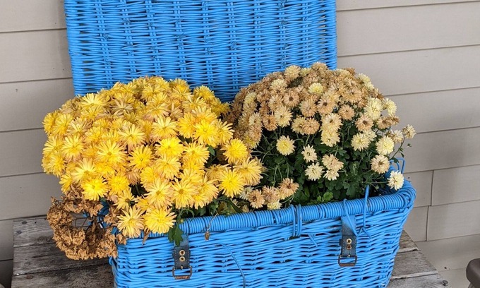 Shipshewana Bed & Breakfast | Miriam's House B&B #2 close to toll Rd and town