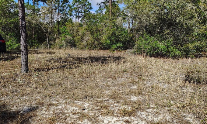 Edgar Wohnmobilvermietung | Soothing campground in Interlachen for a peaceful getaway