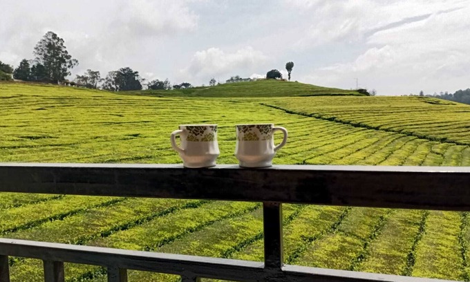 West Mere Haus | Spacious and serene space with Tea Estate view from every room.