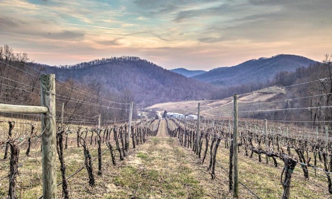 Faber Haus | Spacious Faber Home with Yard, Steps to Winery!