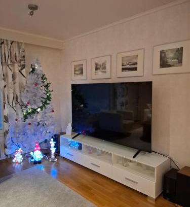 Rovaniemi Wohnung | Spacious house in Rovaniemi/Lapland (11 beds)
