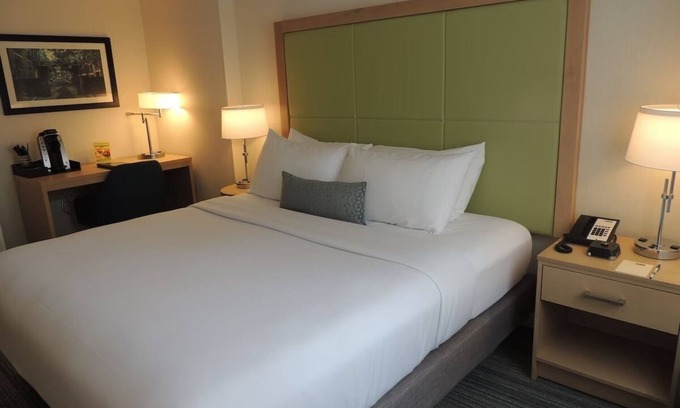 Medical Center Area Hotel | Spacious Premium King Room Near Premier Academic Sites - 1 Mile from HMS