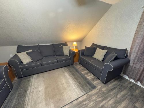 Wabash Wohnung | Spacious Rustic Downtown Market St 1 Bedroom Apt, Sleeps Up to 5, Steps to Honeywell & Eagles Theatre