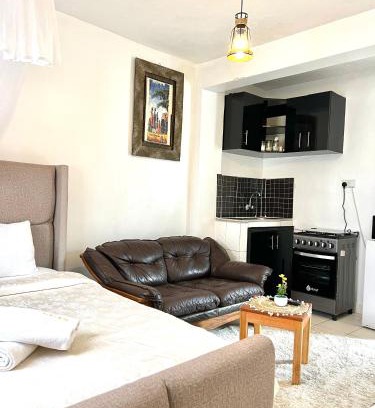 Kisumu Wohnung | Spacious studio Apt Milimani