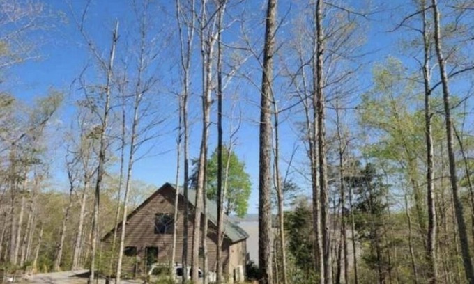 Nancy Haus | Spectacular cabin on Lake Cumberland