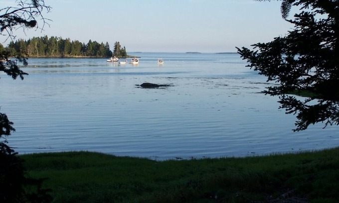 Gouldsboro Hütte | Spektakuläre New Oceanside Carriage House