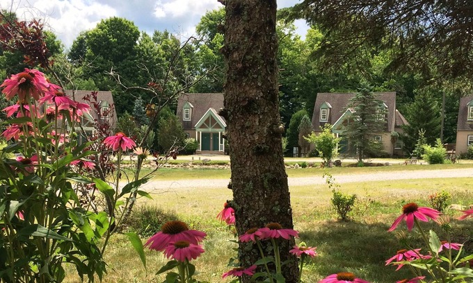 Mansfield Hotel | Spruce Hill Inn and Cottages